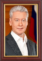 Портрет Собянина С. С. 25х35 см, рама под красное дерево