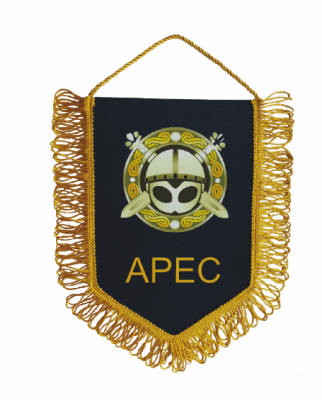 Вымпел жесткий печатный с бахромой, 15х22 см