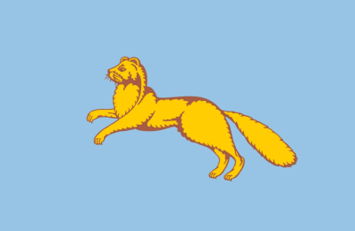 Флаг Шадринска 90х135 см